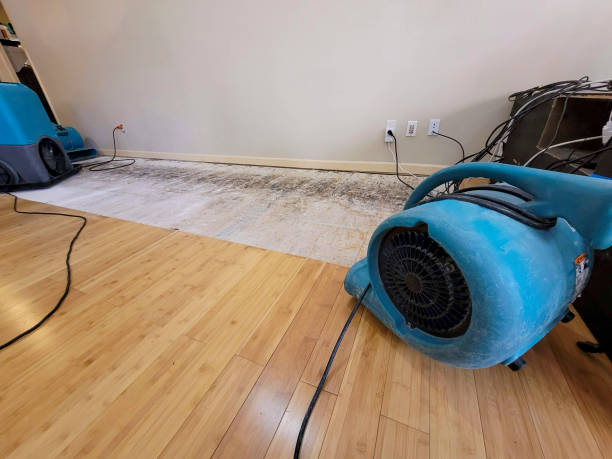 Professional Structural Drying technician working in Brinnon, WA